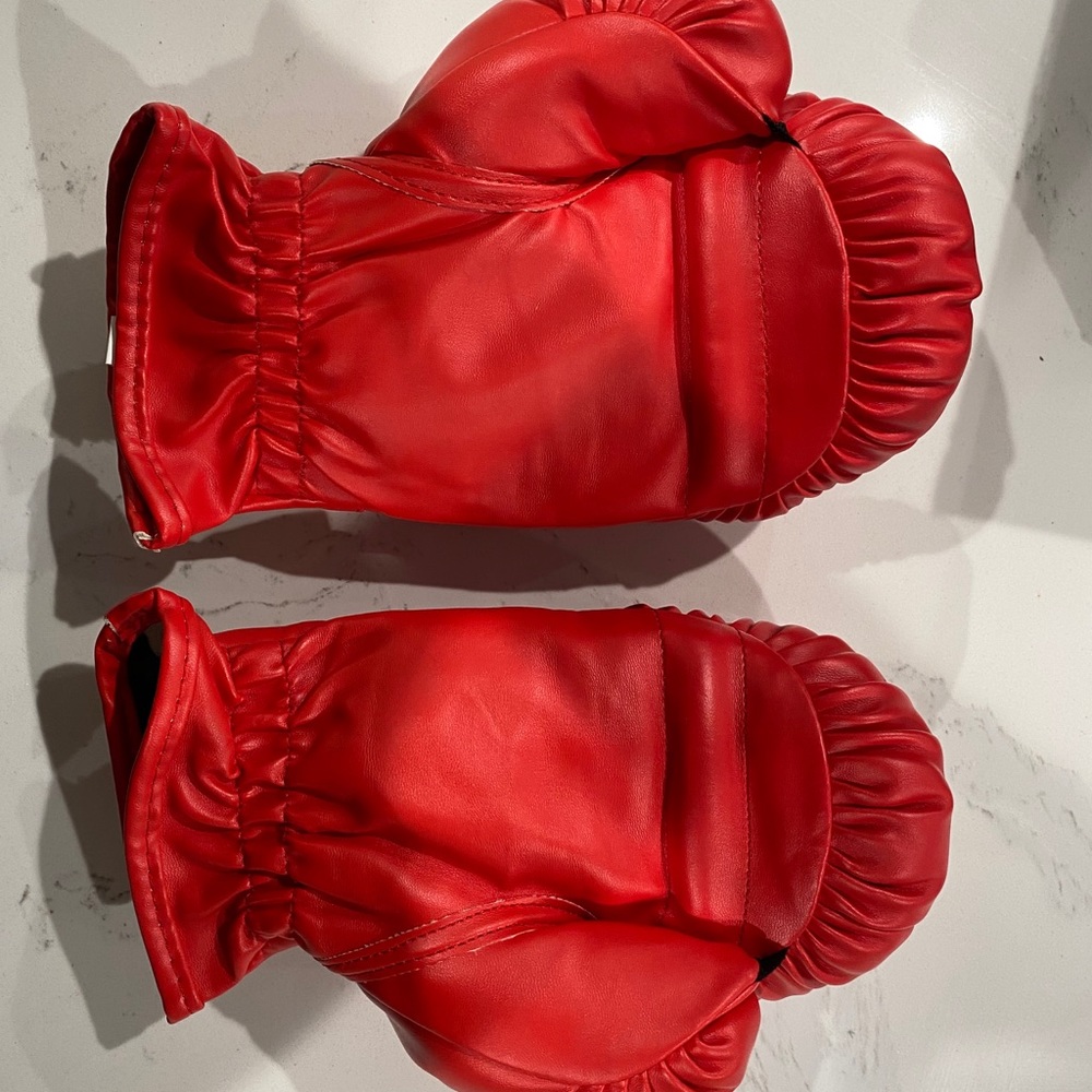 Nearly Brand New everlast boxing gloves